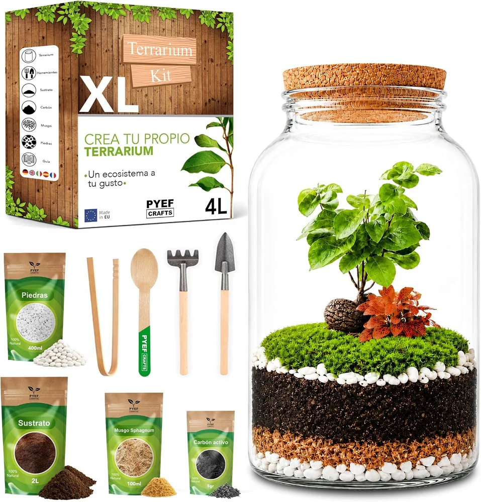 Kit de terrario PYEF CRAFTS XL de 4 L con frasco y materiales